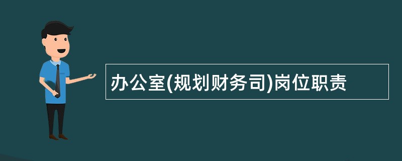 办公室(规划财务司)岗位职责