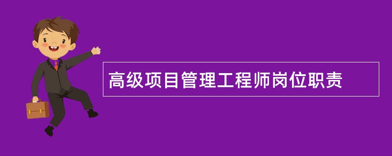 高级项目管理工程师岗位职责