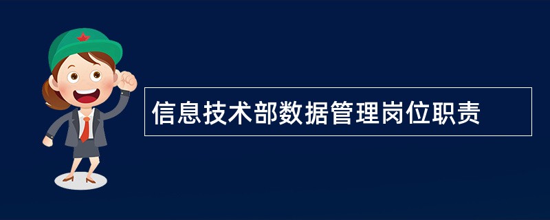 信息技术部数据管理岗位职责