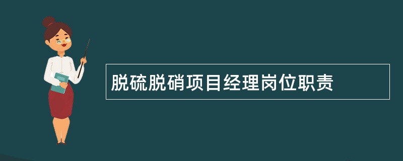 脱硫脱硝项目经理岗位职责