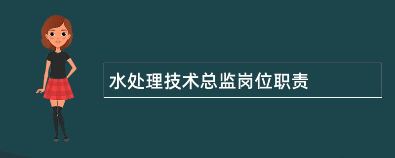 水处理技术总监岗位职责