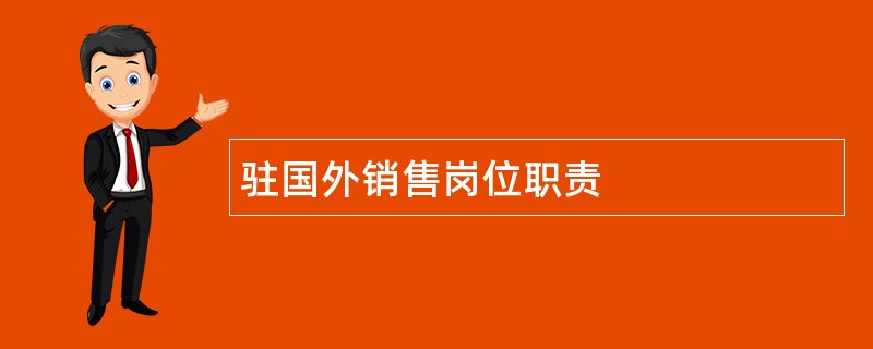 驻国外销售岗位职责