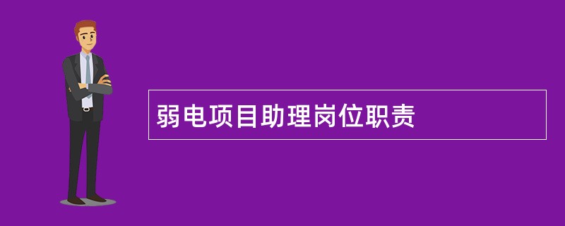 弱电项目助理岗位职责