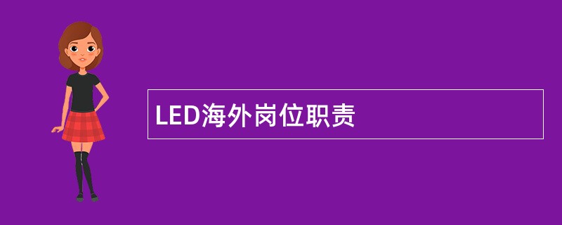 LED海外岗位职责