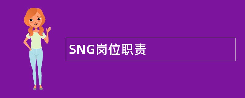 SNG岗位职责