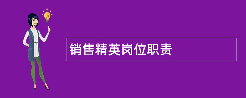 销售精英岗位职责