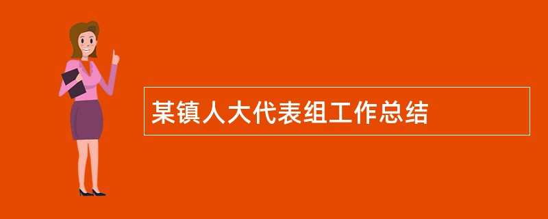 某镇人大代表组工作总结