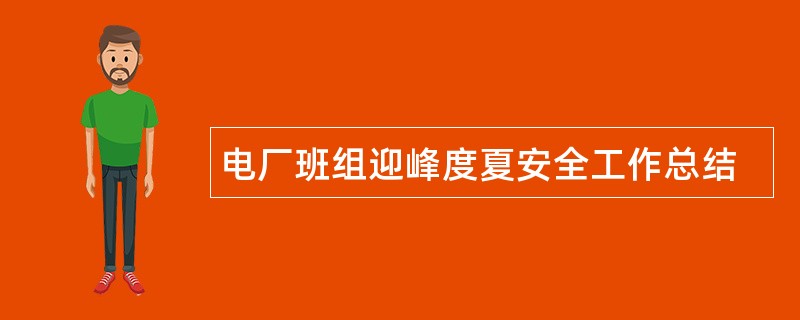 电厂班组迎峰度夏安全工作总结