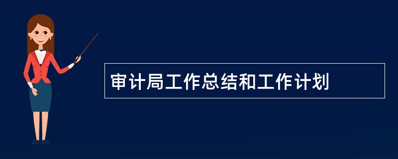 审计局工作总结和工作计划