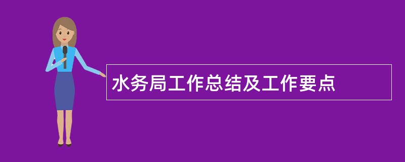 水务局工作总结及工作要点