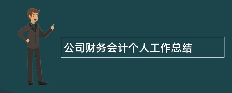 公司财务会计个人工作总结