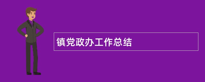 镇党政办工作总结