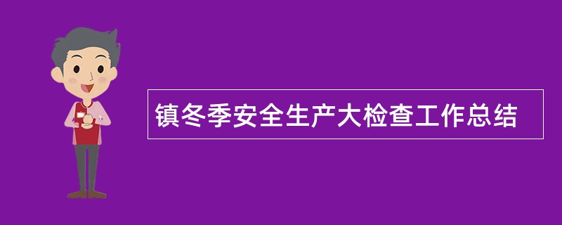 镇冬季安全生产大检查工作总结