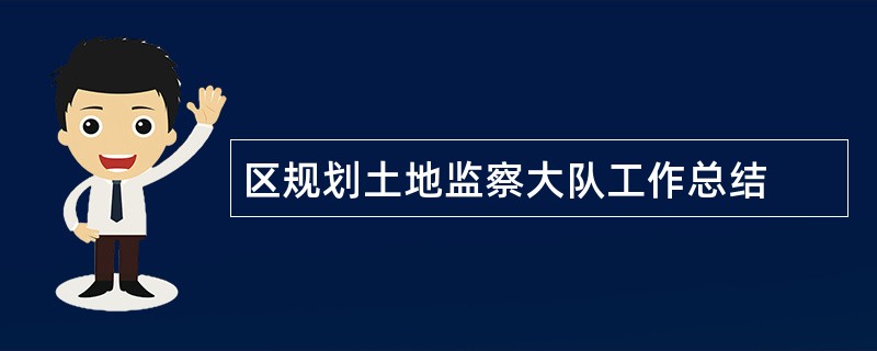 区规划土地监察大队工作总结