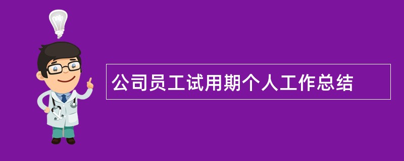 公司员工试用期个人工作总结