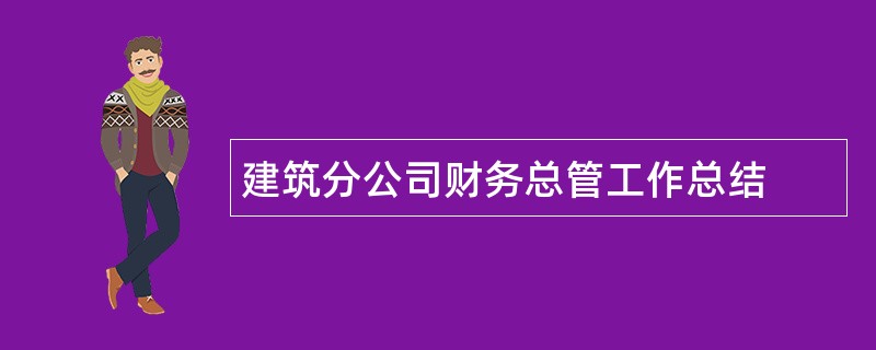 建筑分公司财务总管工作总结