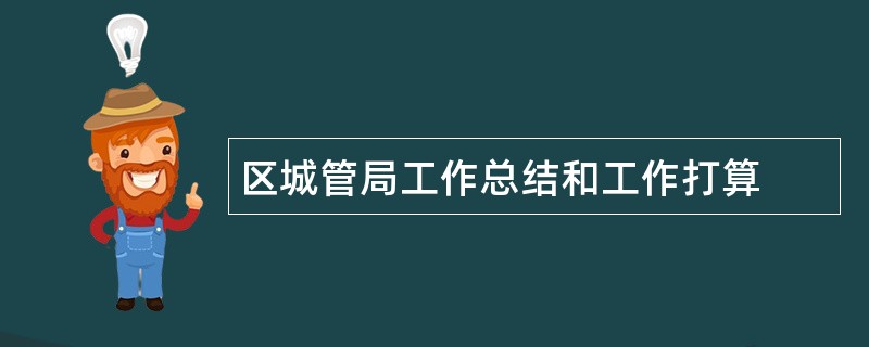 区城管局工作总结和工作打算