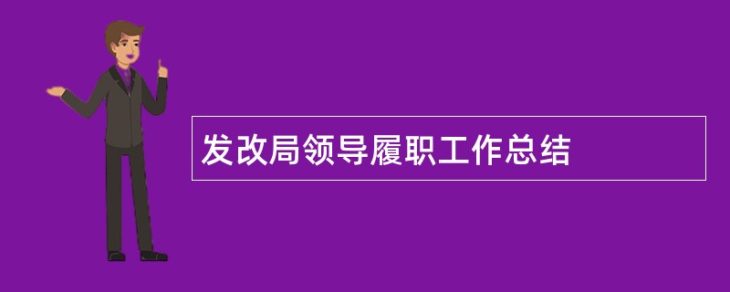 发改局领导履职工作总结