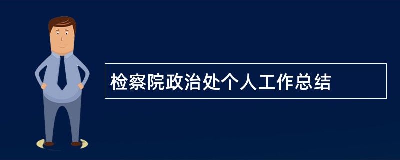 检察院政治处个人工作总结