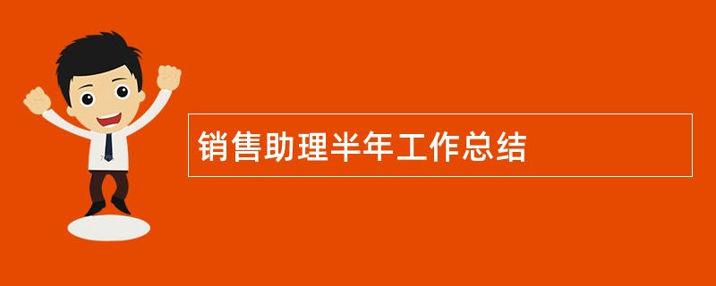 销售助理半年工作总结