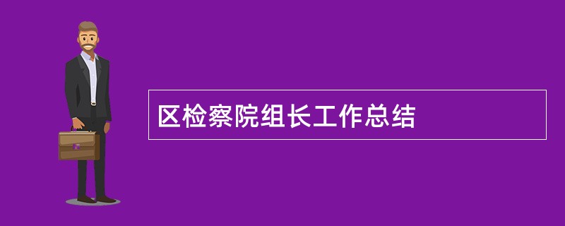 区检察院组长工作总结