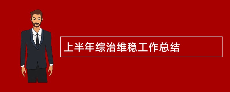 上半年综治维稳工作总结