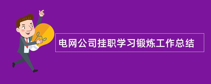 电网公司挂职学习锻炼工作总结