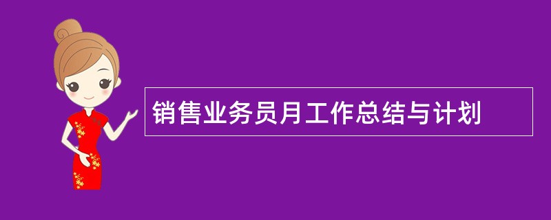 销售业务员月工作总结与计划