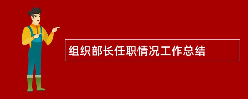 组织部长任职情况工作总结