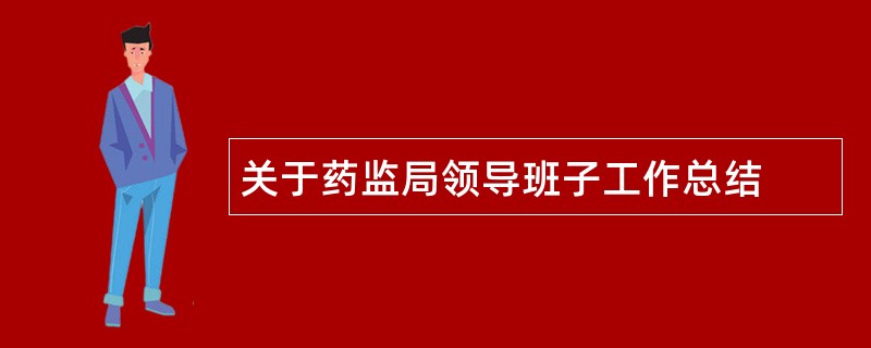 关于药监局领导班子工作总结