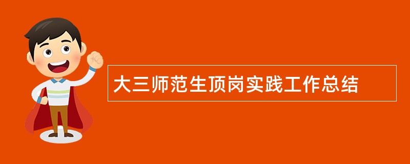 大三师范生顶岗实践工作总结