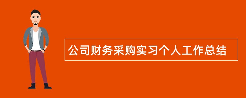 公司财务采购实习个人工作总结