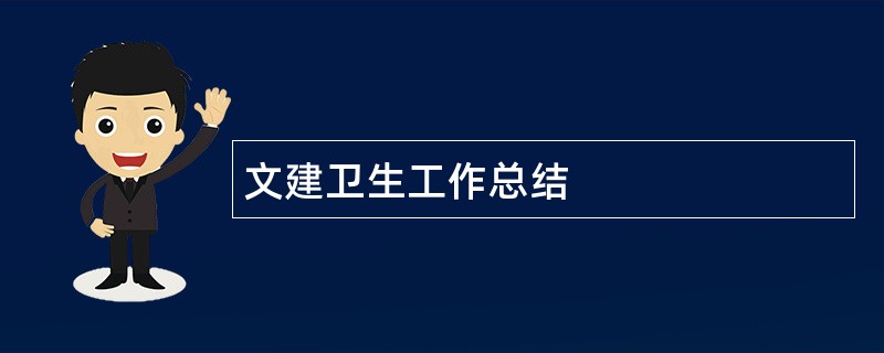 文建卫生工作总结