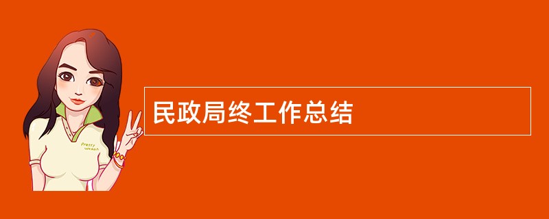 民政局终工作总结