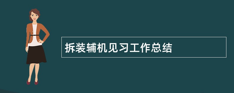 拆装辅机见习工作总结