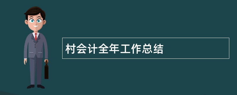 村会计全年工作总结