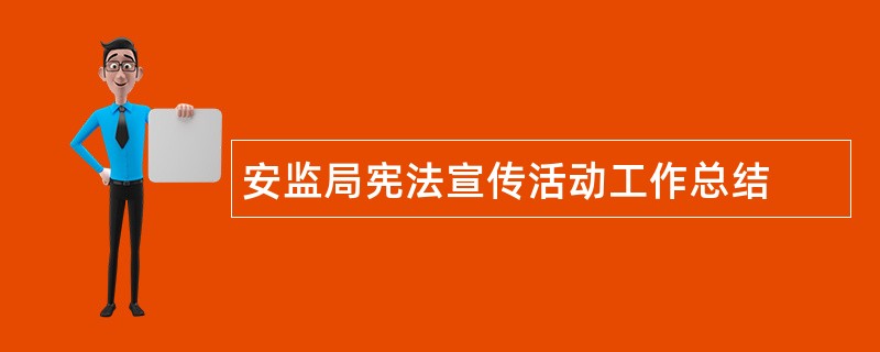 安监局宪法宣传活动工作总结