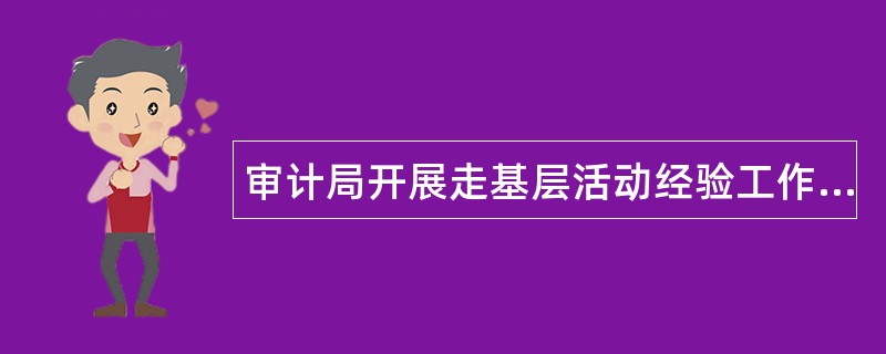 审计局开展走基层活动经验工作总结