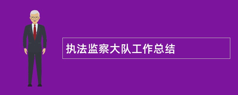 执法监察大队工作总结