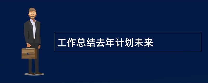 工作总结去年计划未来