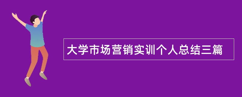 大学市场营销实训个人总结三篇