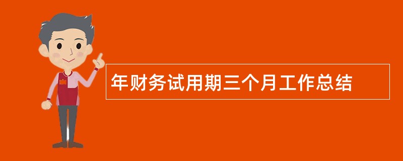 年财务试用期三个月工作总结