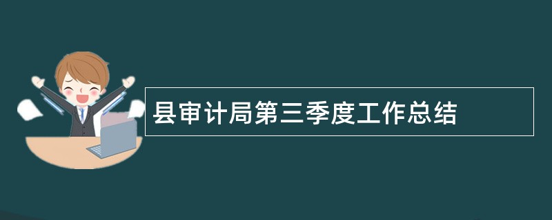 县审计局第三季度工作总结