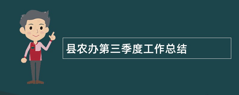 县农办第三季度工作总结