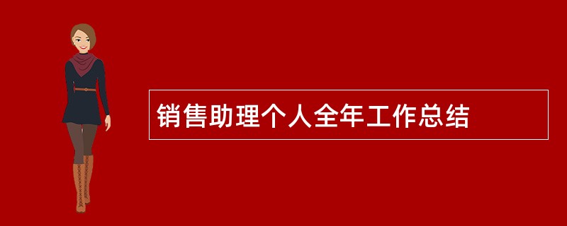 销售助理个人全年工作总结