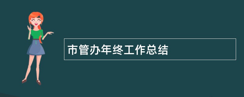 市管办年终工作总结