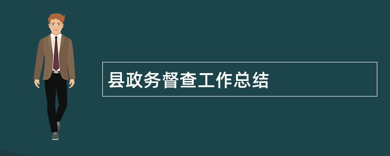 县政务督查工作总结