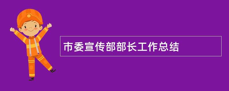 市委宣传部部长工作总结