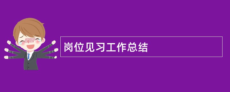 岗位见习工作总结