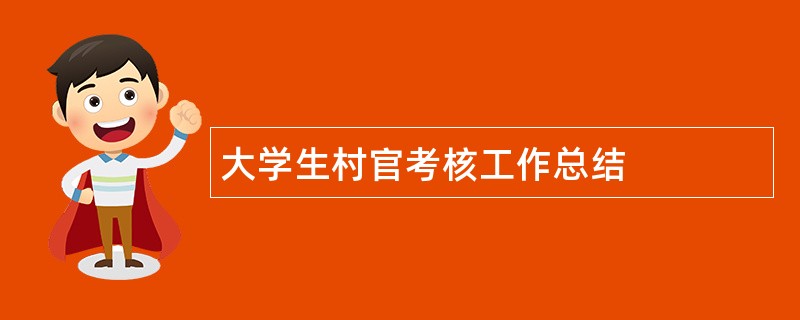 大学生村官考核工作总结